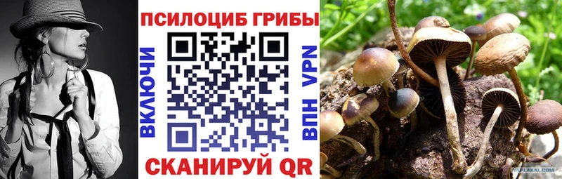 Псилоцибиновые грибы мицелий  сайты даркнета состав  Новотроицк 